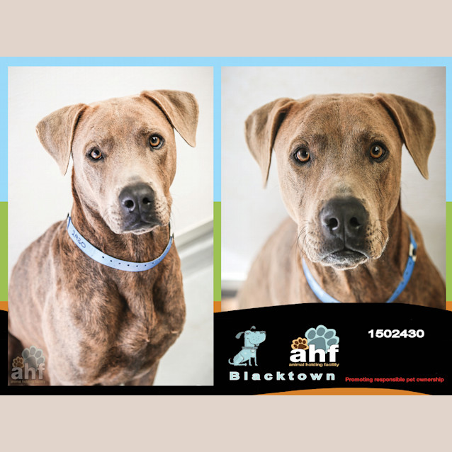 Photo of Rayne ~ #1502430