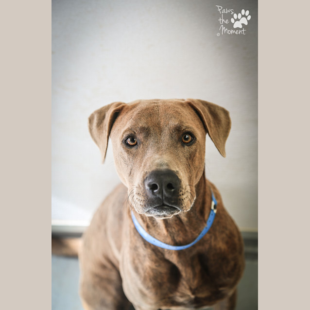 Photo of Rayne ~ #1502430