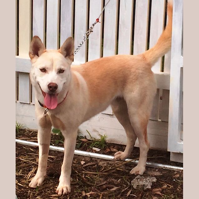 Photo of Jax