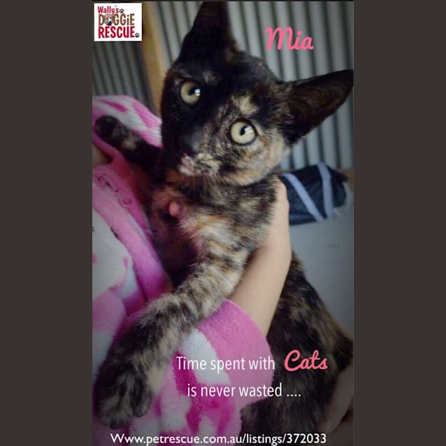 Photo of Mia
