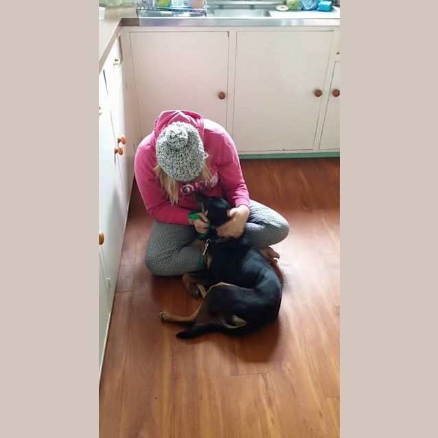 Photo of Jessie (Under Application)