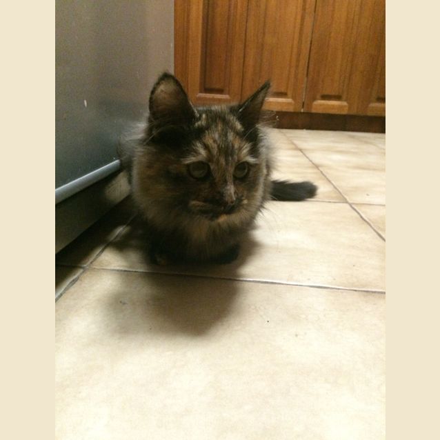 Photo of Greta Reduced To $120