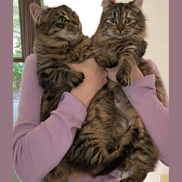 Photo of Archie And Astra 