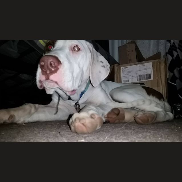 Photo of Angel