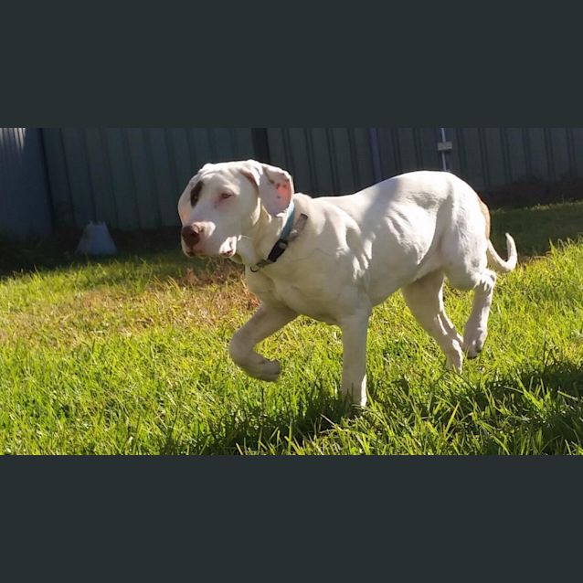 Photo of Angel