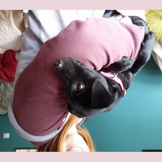 Photo of Sooky Ed0022 