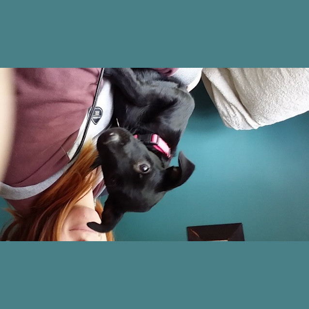 Photo of Nala Ed0023