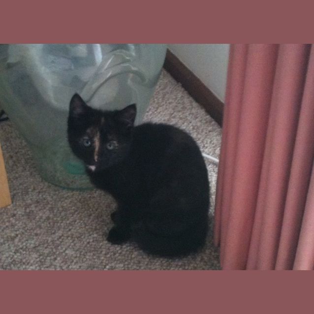 Photo of Debra