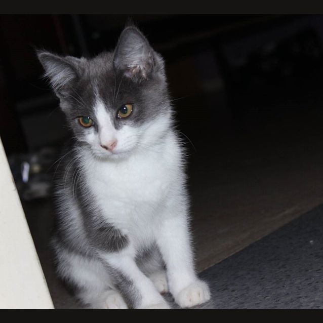 Photo of Gus