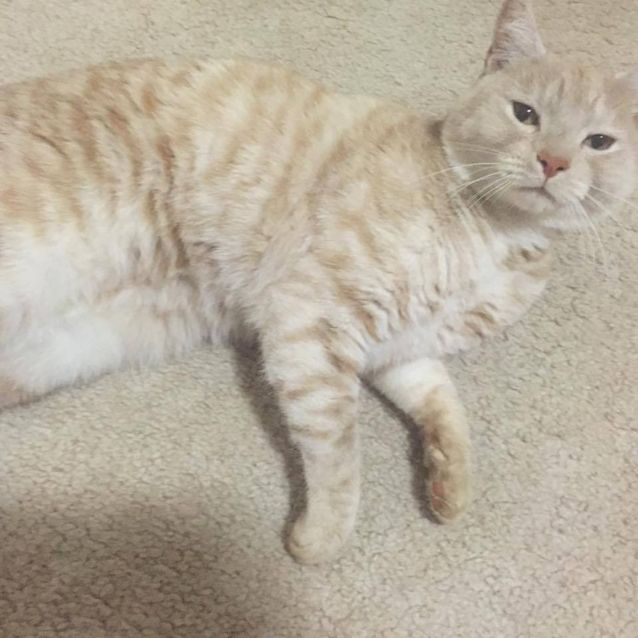 Photo of Floyd