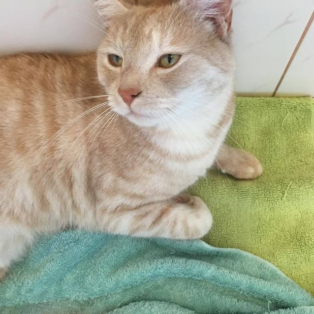 Photo of Floyd