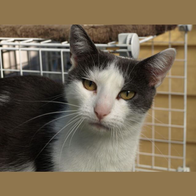 Photo of Mrs Brady (Kaz) Location Albury