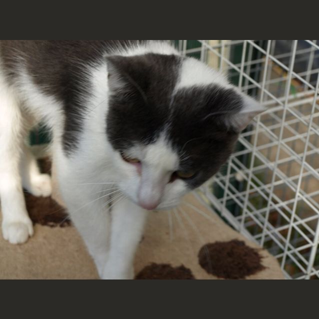 Photo of Mrs Brady (Kaz) Location Albury