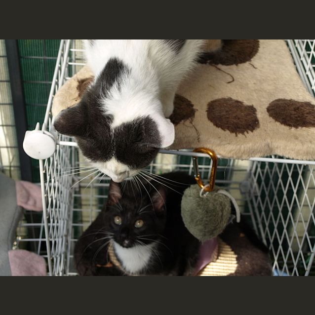 Photo of Mrs Brady (Kaz) Location Albury