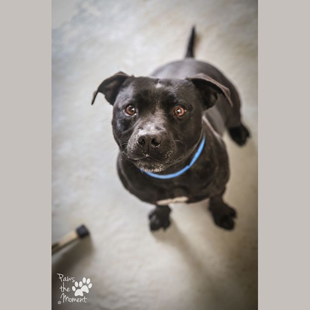 Photo of Jimmy ~ #1502461