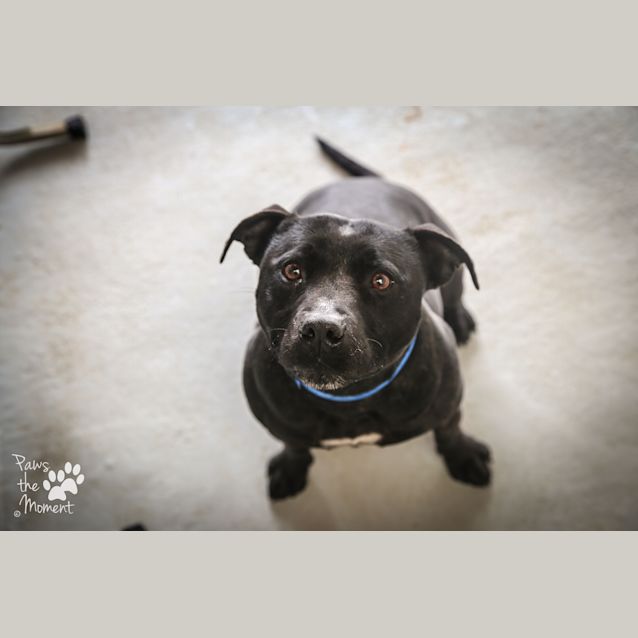 Photo of Jimmy ~ #1502461