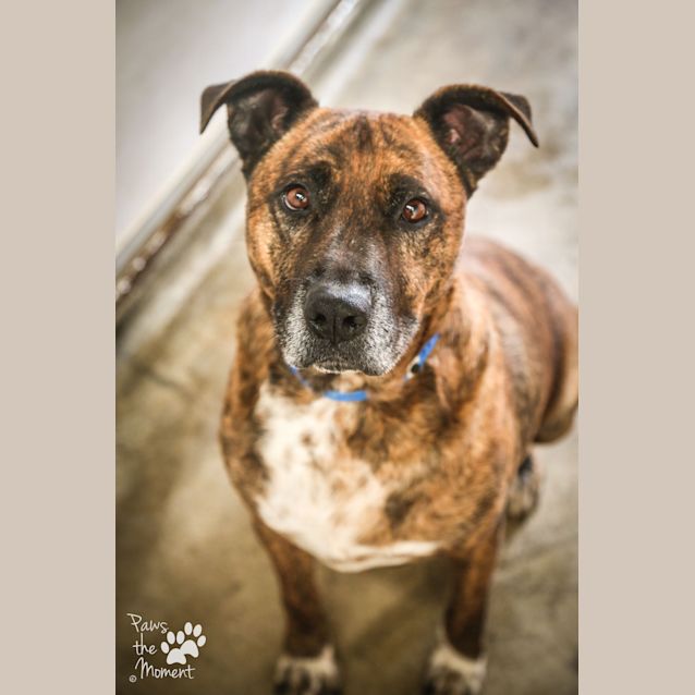 Photo of Tyson ~#1502451