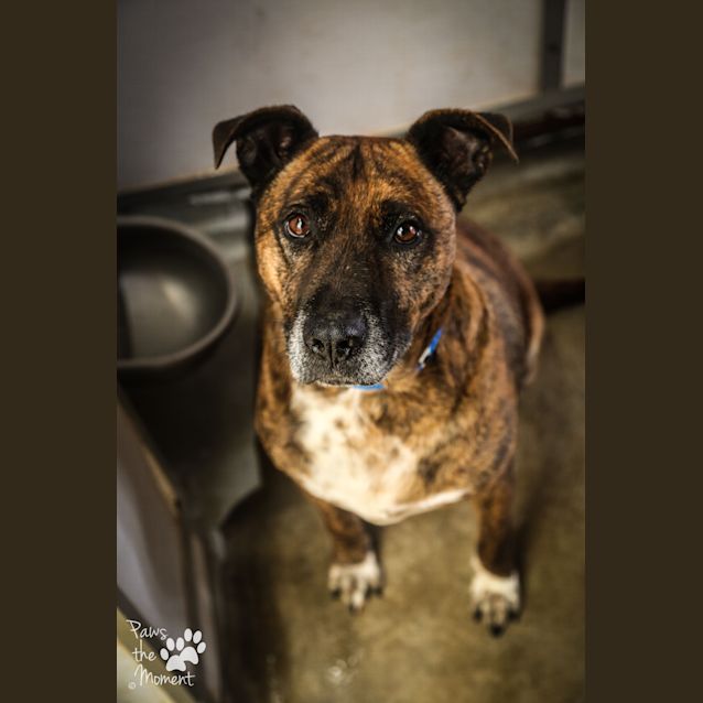 Photo of Tyson ~#1502451