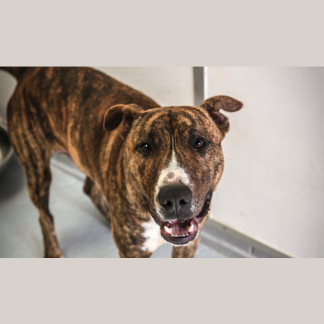 Photo of Smick ~ #1502474