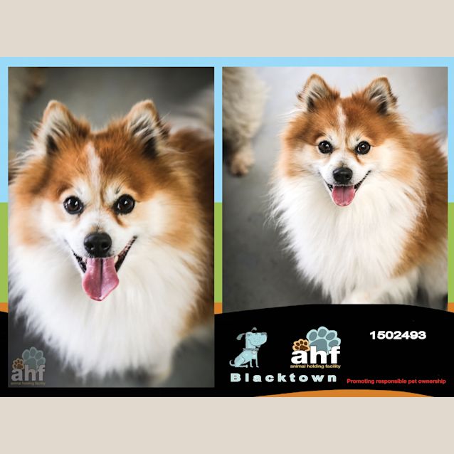 Photo of Pablo ~ #1502493