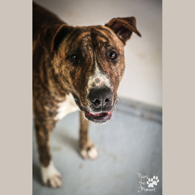 Photo of Smick ~ #1502474