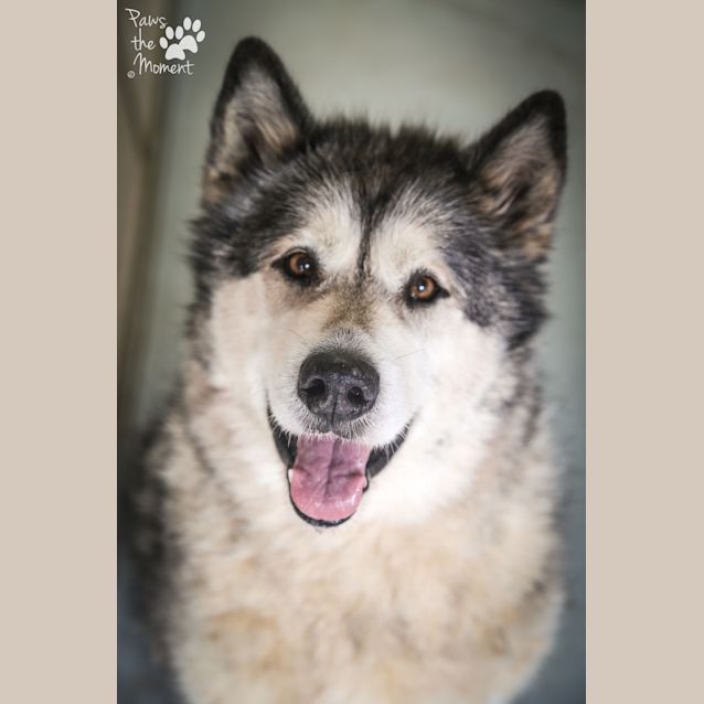 Photo of Mia ~ #1502540