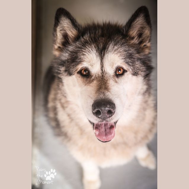 Photo of Mia ~ #1502540