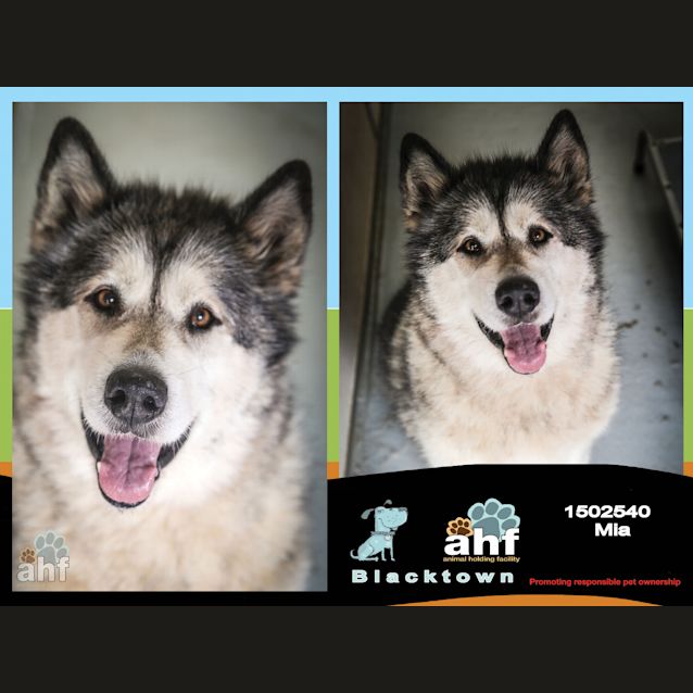 Photo of Mia ~ #1502540