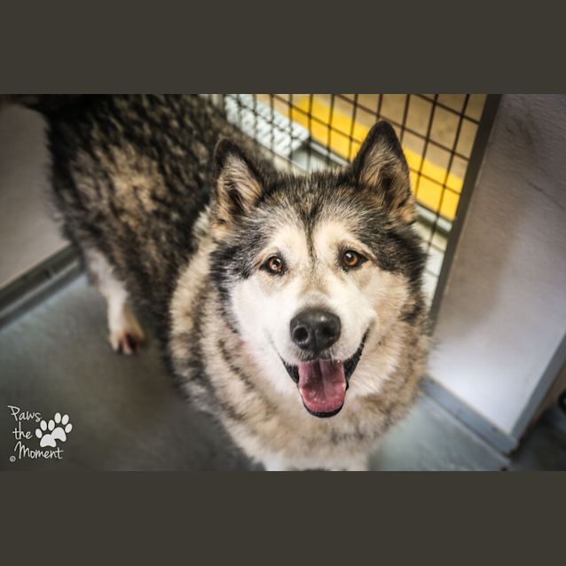 Photo of Mia ~ #1502540