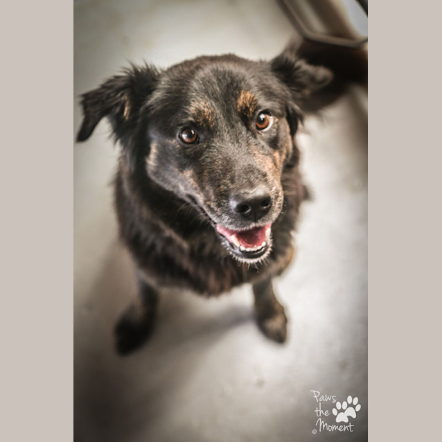 Photo of Molly ~ #1502538