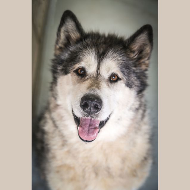 Photo of Mia ~ #1502540