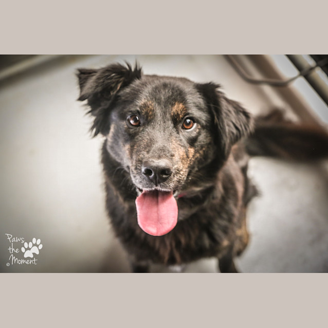 Photo of Molly ~ #1502538