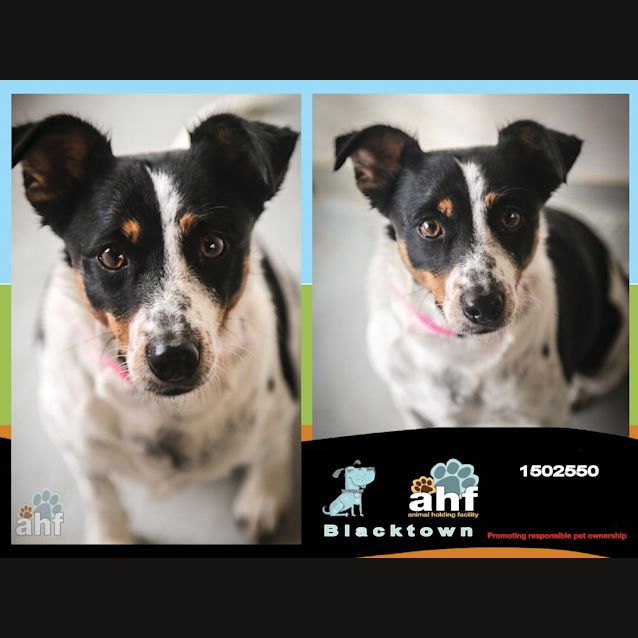 Photo of Milly ~ #1502550