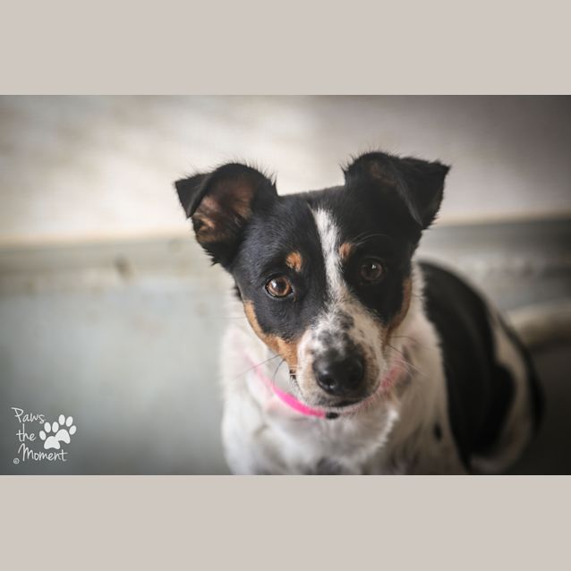 Photo of Milly ~ #1502550