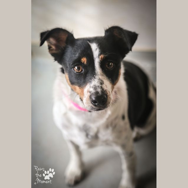 Photo of Milly ~ #1502550