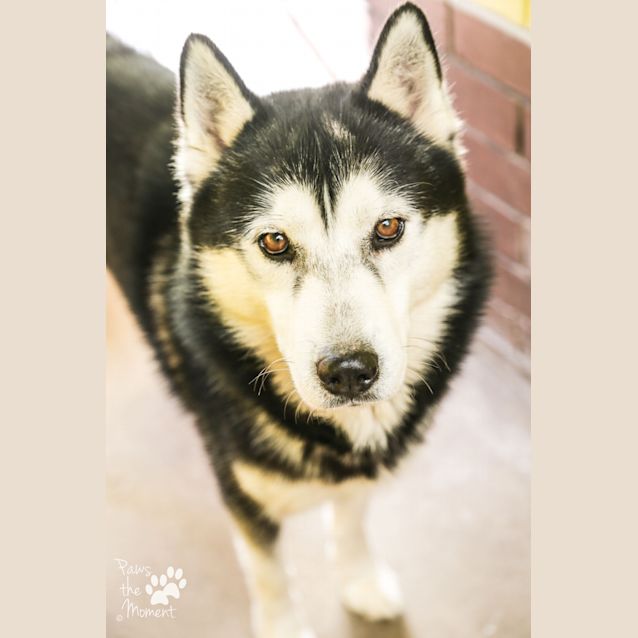 Photo of Demon ~ #1502570