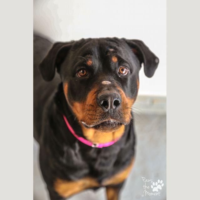 Photo of Stella ~ #1502594