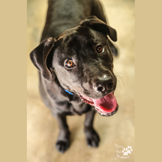 Photo of Simba ~ #1502649