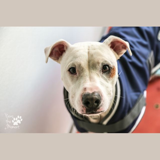 Photo of Danny ~ #1502643