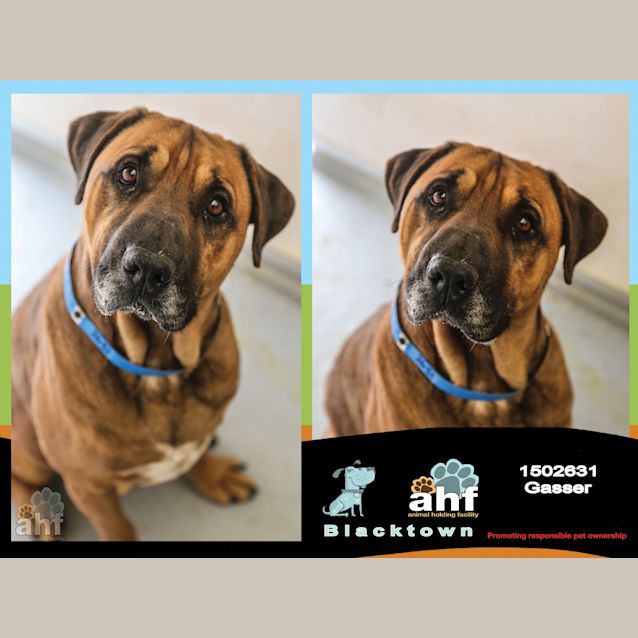 Photo of Gasser ~ #1502631