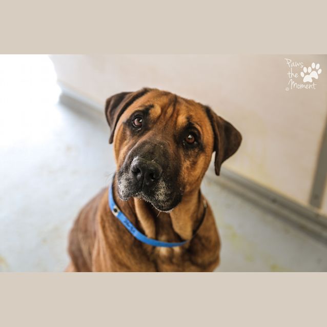 Photo of Gasser ~ #1502631