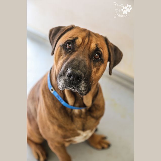 Photo of Gasser ~ #1502631