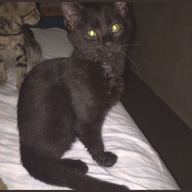 Photo of Pablo (Was Shadow)