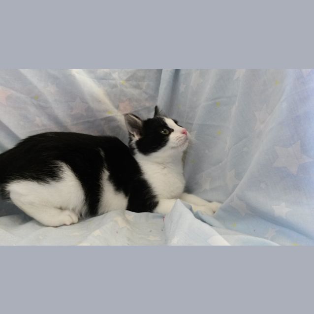 Photo of Bree