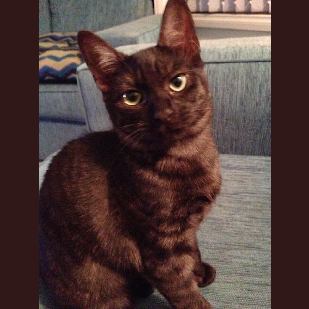 Photo of Lucy 