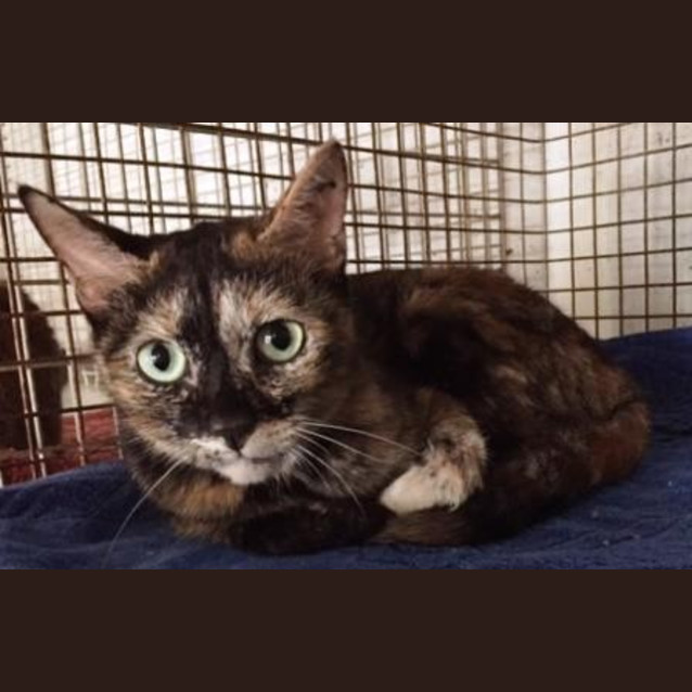 Photo of Big Girl