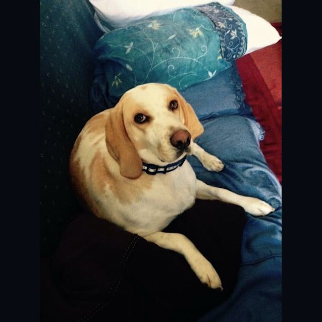 Photo of Sandy 