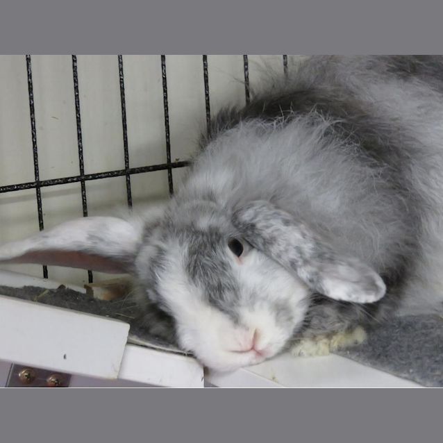 Photo of Miss Moneypenny