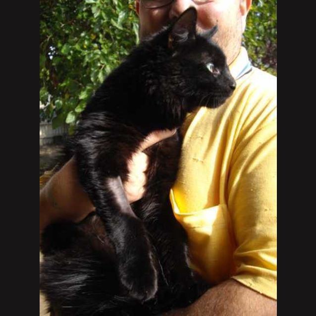 Photo of Midnight Now Only $100