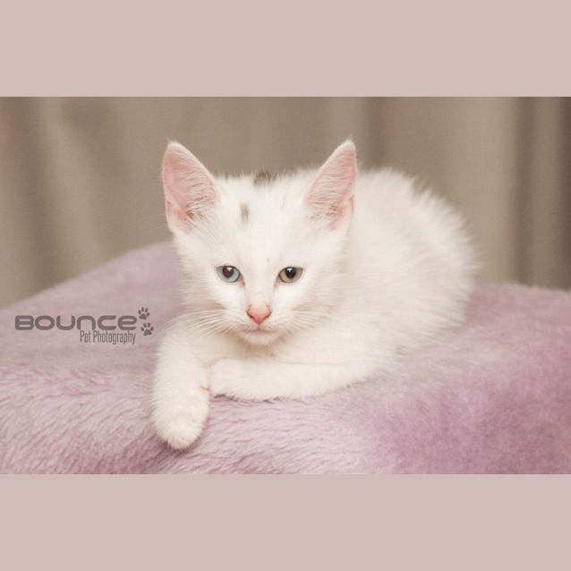 Photo of Loui 